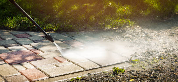 Best Soft Washing  in Siena College, NY